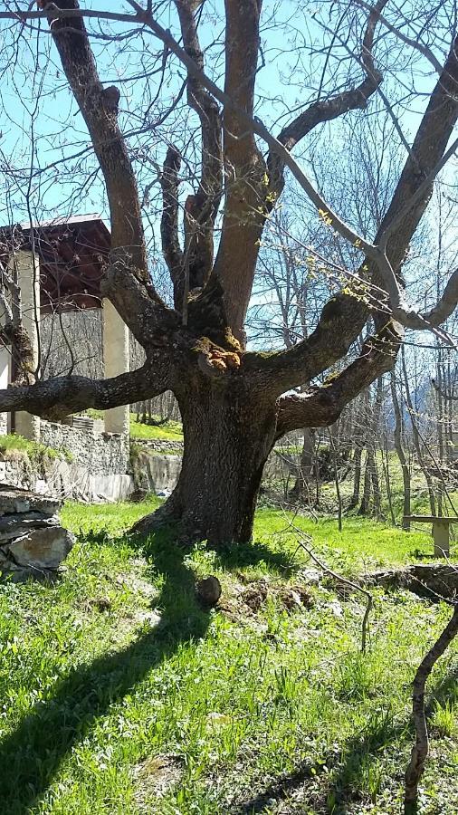 Apartamento La Casa Del Gigante Frassino Acceglio Exterior foto