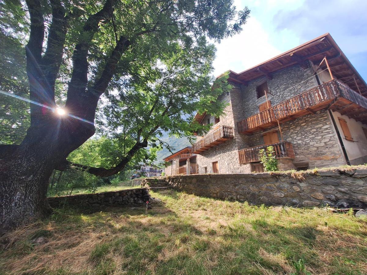 Apartamento La Casa Del Gigante Frassino Acceglio Exterior foto