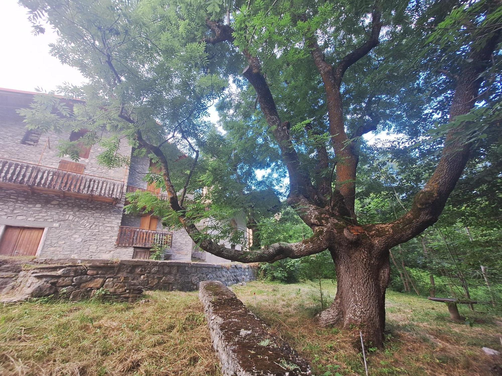 Apartamento La Casa Del Gigante Frassino Acceglio Exterior foto